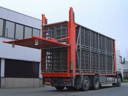 垂直升降汽(qi)車尾闆